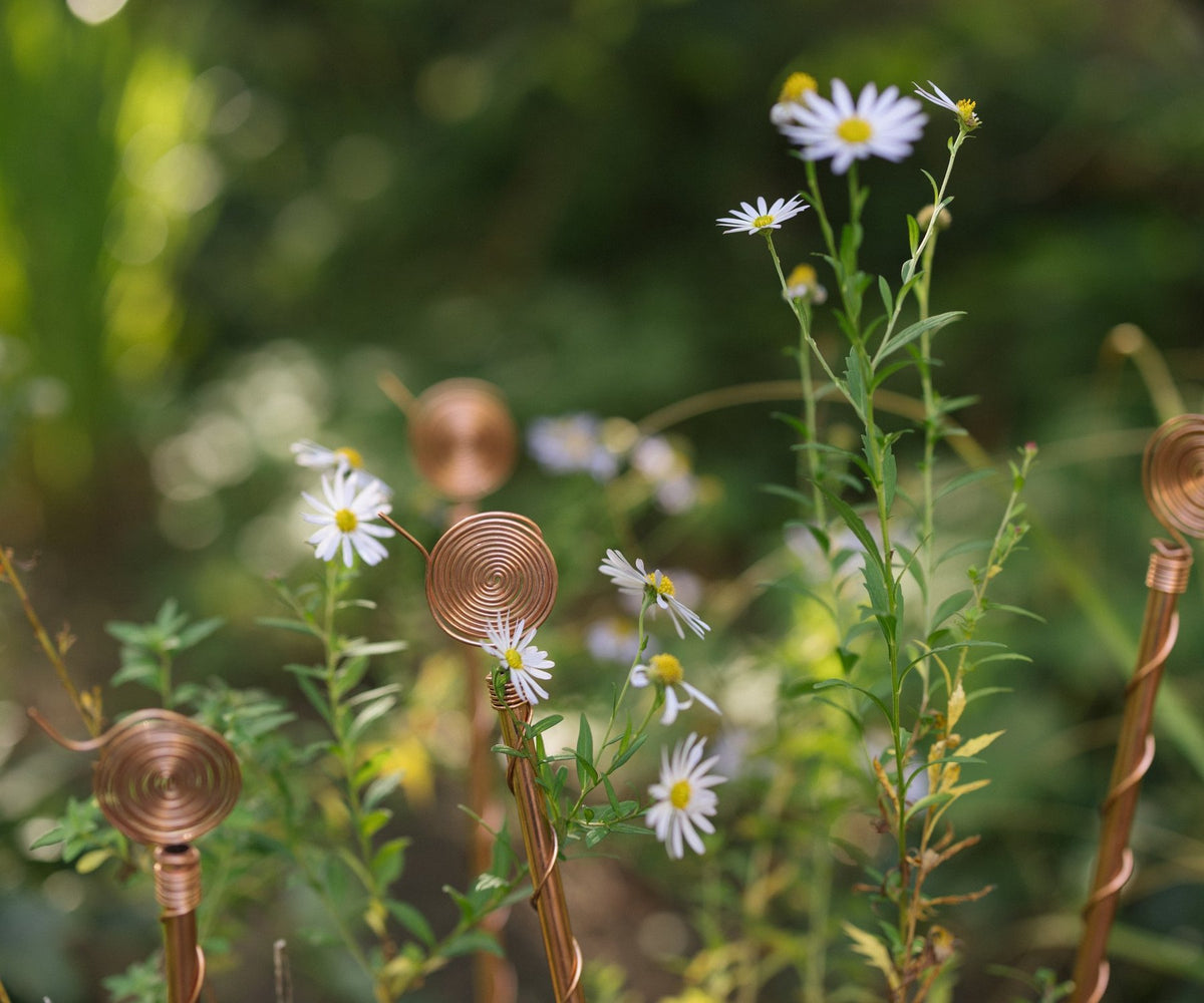 L'électroculture : une tradition de jardinage séculaire redécouverte