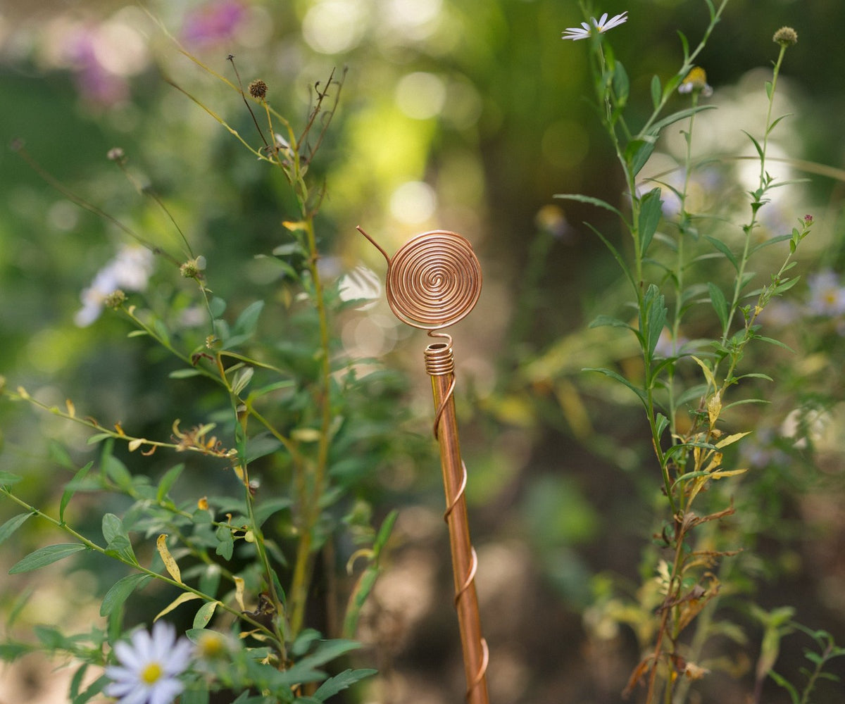Kopero Elektrocultuur 60 cm, één antenne tussen wilde bloemen in de tuin
