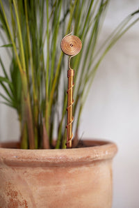 Antenne d'électroculture en cuivre Kopero de 30 cm dans un pot en terre cuite avec des herbes ornementales