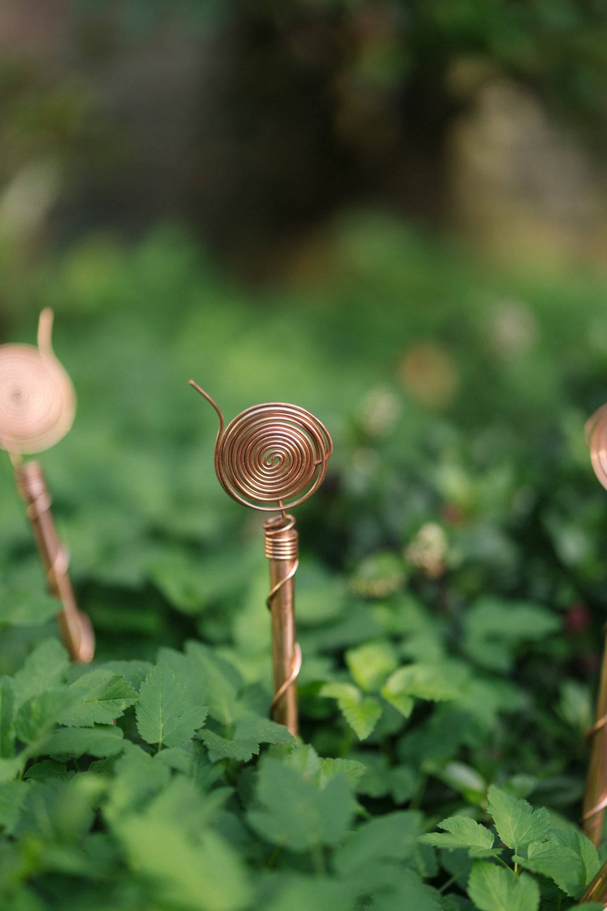 Kopero Elektrocultuur 30 cm, één antenne in een border tussen groene planten