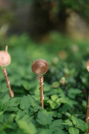 Kopero Elektrocultuur 30 cm, één antenne in een border tussen groene planten