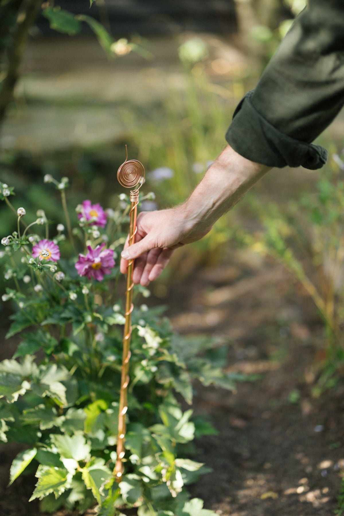 Kopero Elektrocultuur 60 cm, een hand schuift de antenne in de border