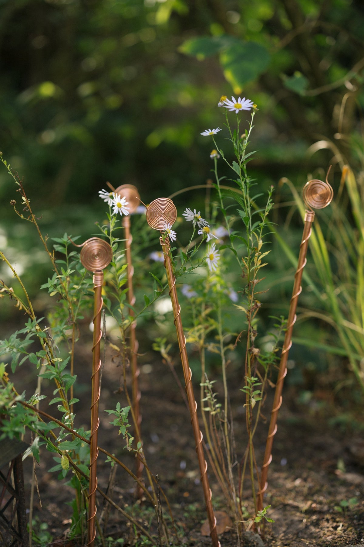 Kopero Elektrocultuur 60 cm, drie antennes in een border met asters