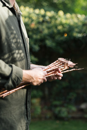 Kopero Elektrocultuur, een bos koperen antennes in twee handen in de tuin